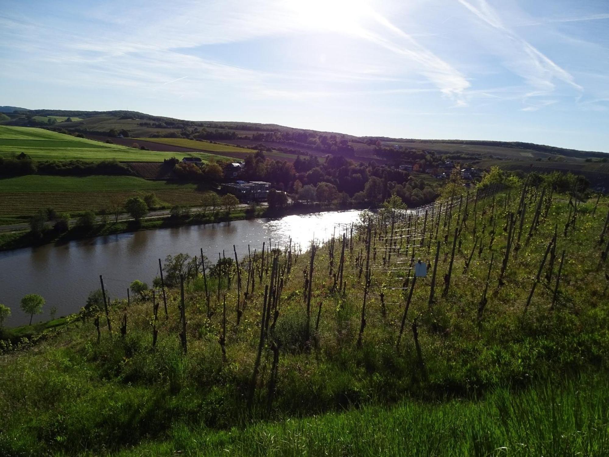 Holiday Apartment Near The Moselle With Terrace Wehr  외부 사진